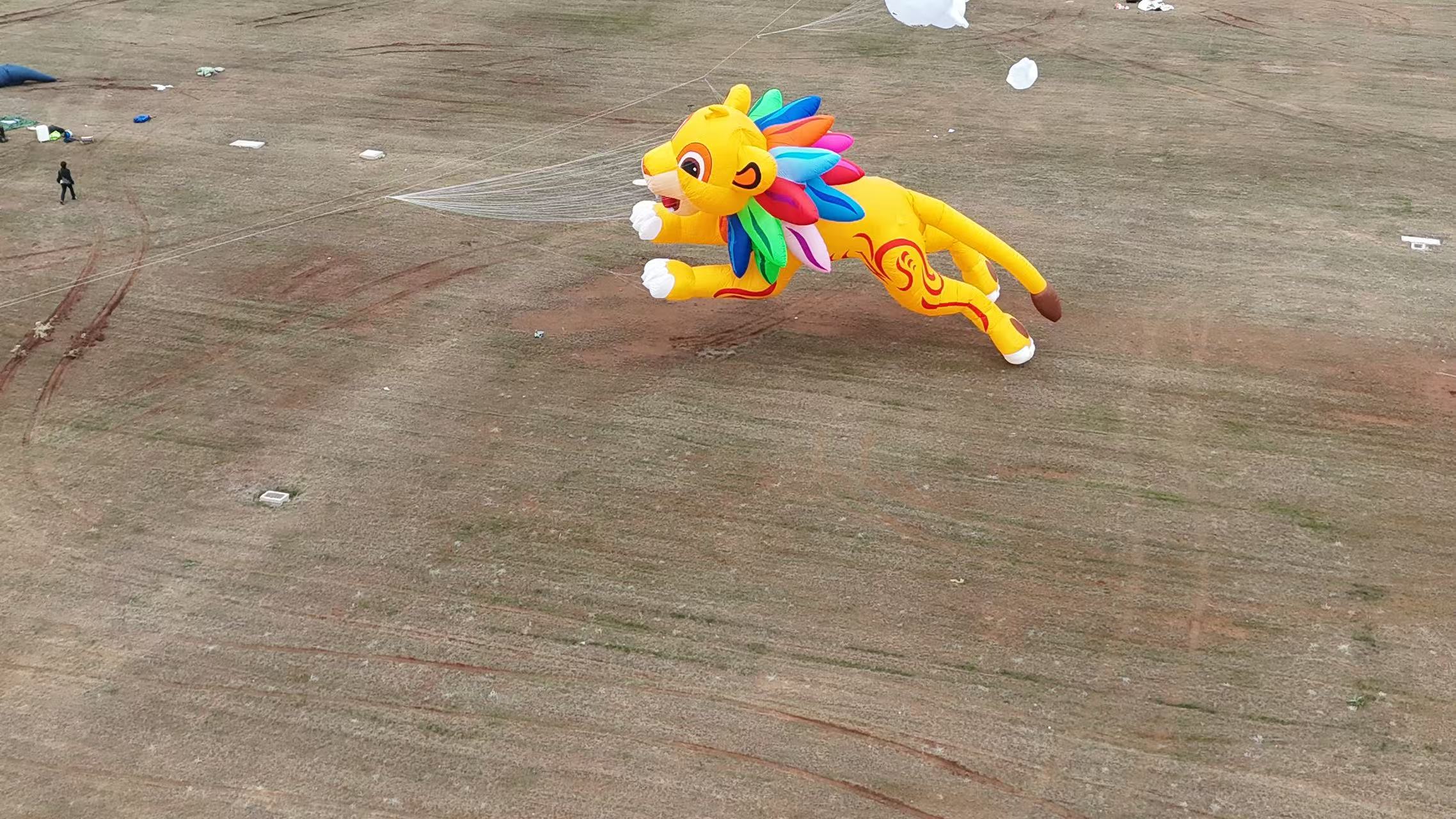 南昌市品牌风筝定制品牌风筝定制 - 一站式服务